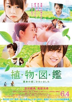 岩田剛典、高畑充希にキス寸止め2連発!? 料理姿も映す『植物図鑑』予告映像