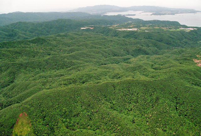 ７月に国立公園 米軍北部訓練場は含まず ／沖縄