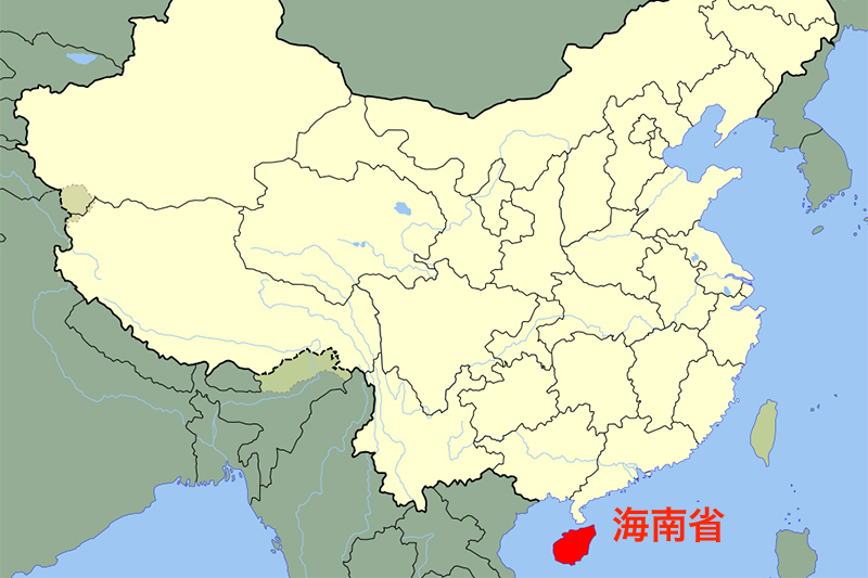 中国・海南省海口市で小学生10人刺される 犯人自殺、2人重傷