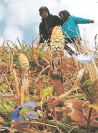 ぽかぽか啓蟄 福岡市、２０度超す