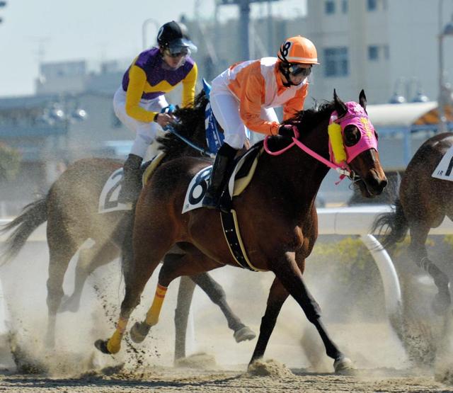 菜七子 ＪＲＡ初白星ならず デビュー２戦目は９着 １２Ｒに再登場