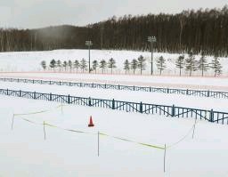 彬子さま出席スキー大会で爆発音 「私がやった」男を聴取、札幌