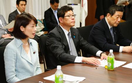 福島第１原発事故 森林除染、１０地区程度で 政府方針