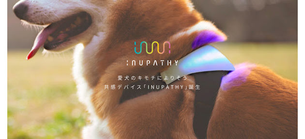 犬のきもち、心拍変動のセンシングで「見える化」