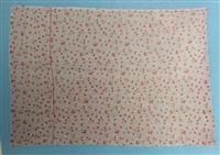 【劇団員女性殺害】消えた荷物多数…近所に絞り、引っ越し先も割り出す ＤＮＡ型は1000人超から提供