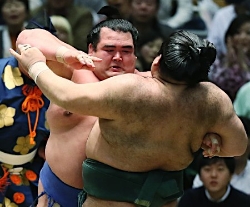 綱とり琴奨菊、白星発進