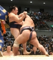 荒れる春場所 白鵬・鶴竜に土