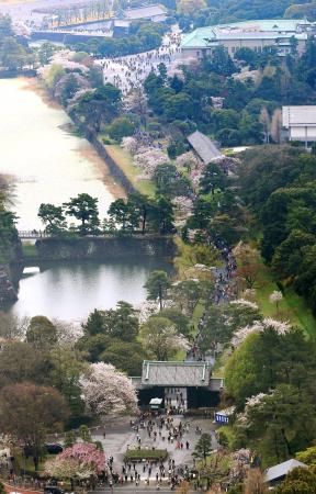 乾通り一般公開、3月25~31日に実施 宮内庁