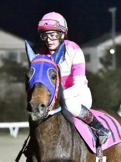 【初高知参戦】菜七子トーク