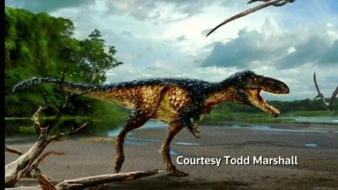 新種の恐竜発見、ティラノサウルスの祖先 大型化の謎解明へ