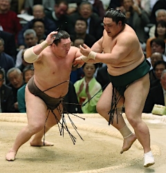 白鵬またダメ押し「お客さん危ない」理事長が苦言