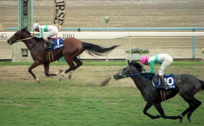 メジロライアン死す ２９歳 ９１年宝塚記念Ｖ 横山典弘とコンビ