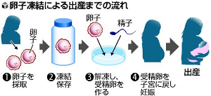 卵子凍結、健康女性５６２人…４０代３人が出産 2016年03月20日 08時57分