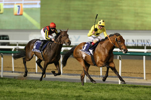 【ドバイシーマC】レース前に落鉄…ドゥラ2着も凱旋門賞挑戦へ