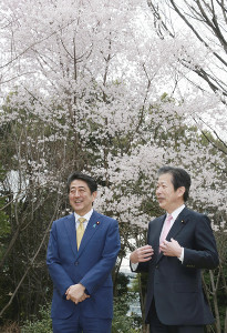 首相、景気「七分咲きぐらいかな」…官邸で花見 2016年03月30日 19時29分