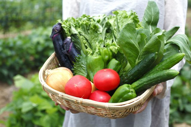 7割返礼「感謝券」 4月から受け付け 勝浦市ふるさと納税