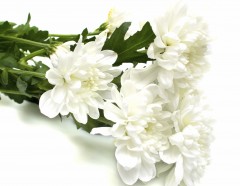 「デジモン」主題歌・アニソン歌手の和田光司さん死去 上咽頭がんのため 享年42歳