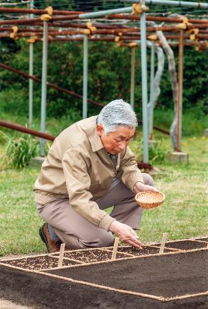 <皇室>天皇陛下が稲の種もみまき 皇居内の苗代に