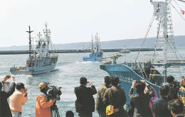 <調査捕鯨>石巻・鮎川出港 上限51頭