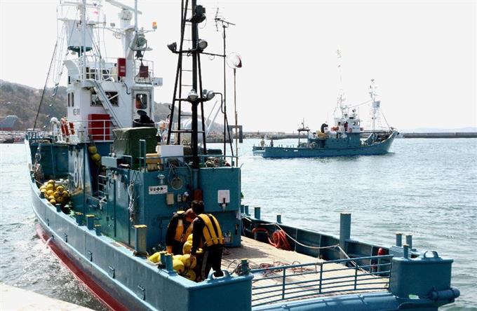 三陸沖で開始 51頭上限に5月下旬まで /宮城