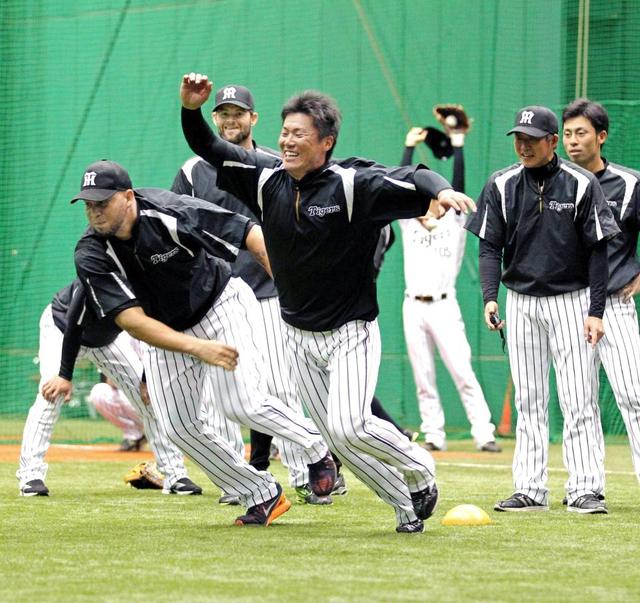 阪神陽川が初昇格 金本チルドレン2冠男を抜てき