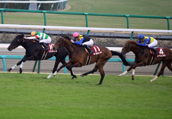 【皐月賞】サトノダイヤモンド6枠11番!枠順確定