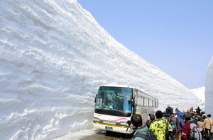 雪の大谷に歓声 立山黒部アルペンルート全線開通