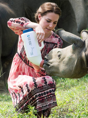 キャサリン妃、インドで野生動物たちと対面！