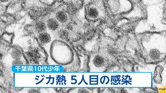 白井の男性が感染 県内初 ／千葉