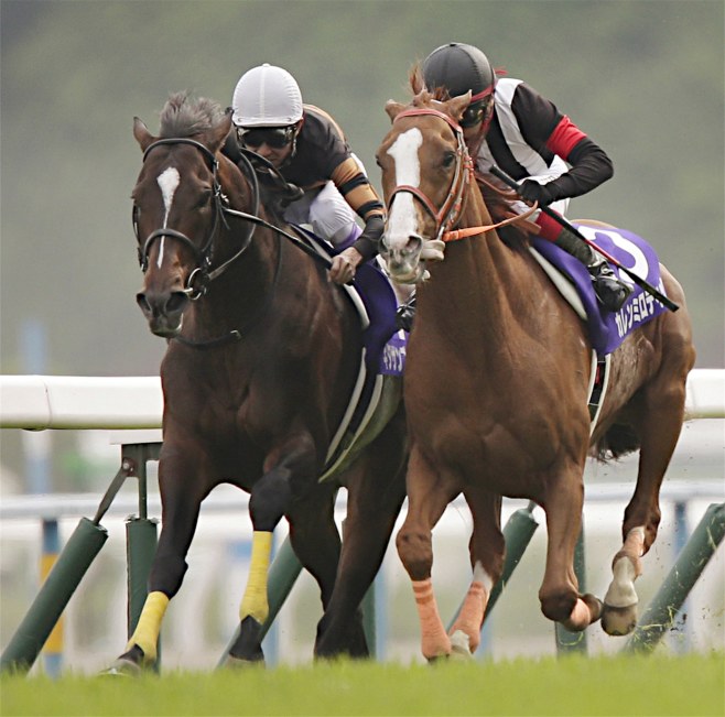 【天皇賞・春】（京都）～キタサンブラックが接戦を制し、ＧＩ２勝目 [News]