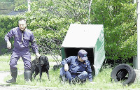 警察犬育成「やりがいある」 2016年05月03日