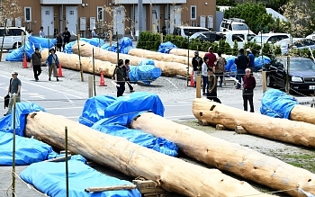 諏訪大社の御柱祭「里曳き」始まる